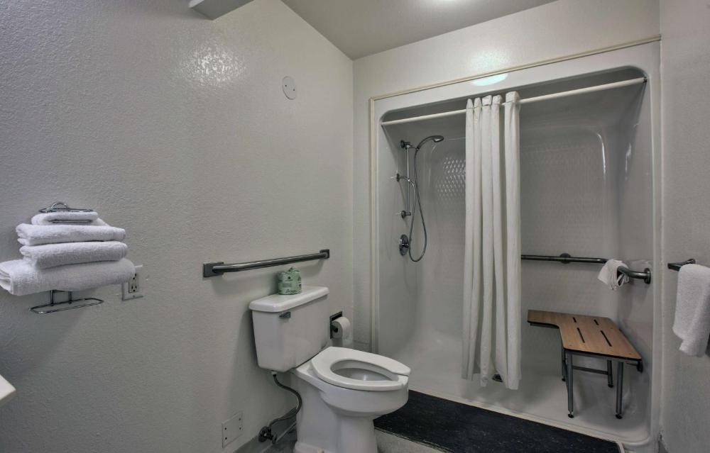 Queen Room - Disability Access - Roll in Shower interior